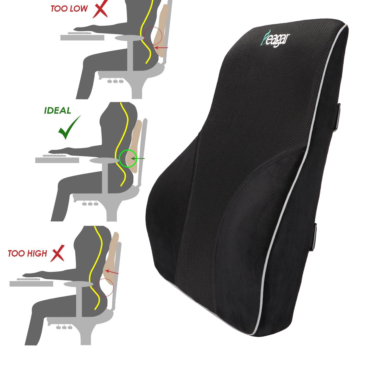 BackShield Lumbar Support Ergonomically Designed for Car Seat, Home Office  Chair, Lumbar Back Support Cushion for Car, Truck or RV Featuring S-Curve